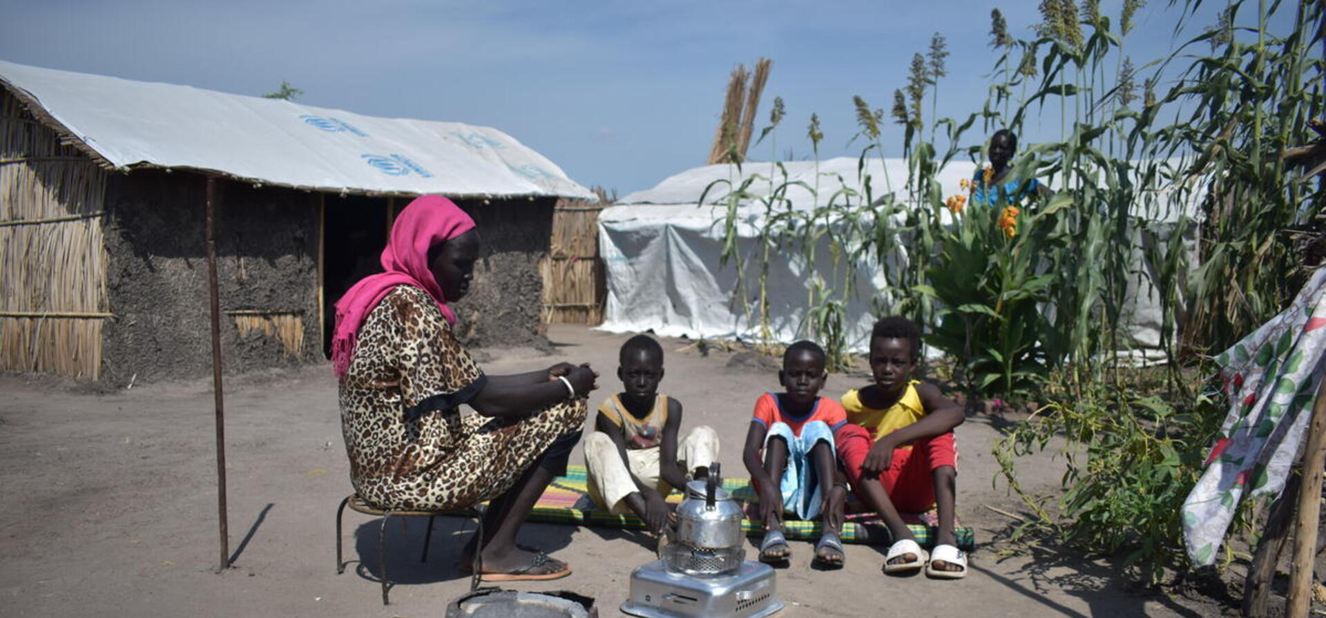Sudan. Clean cooking energy