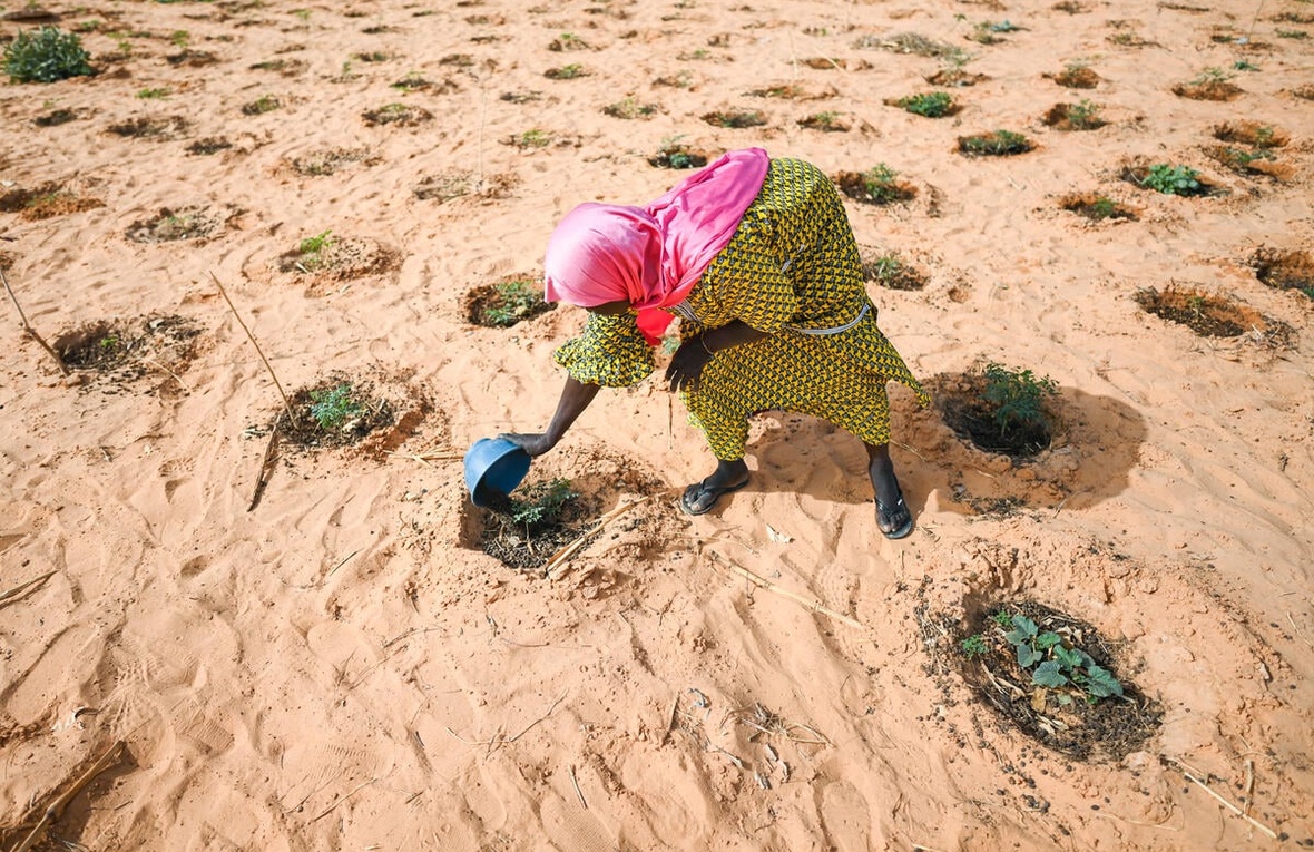 A woman waters vegetables in a dry landscape
