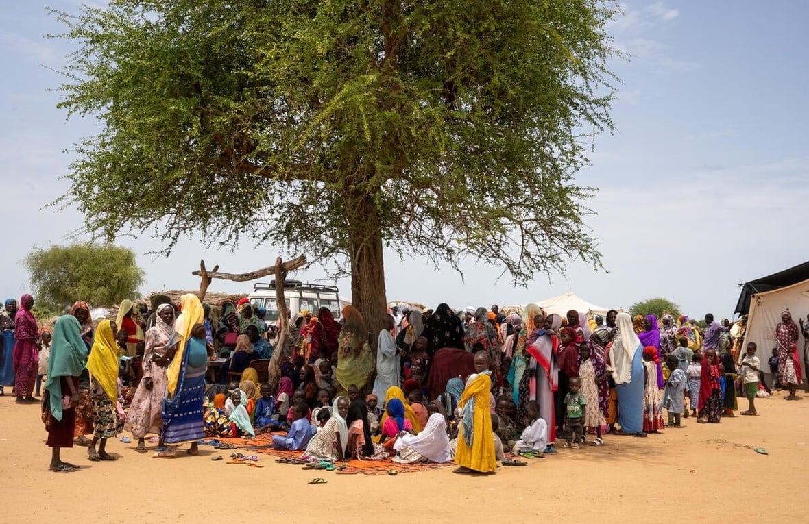 A large group of people gather under a tree, sitting and standing