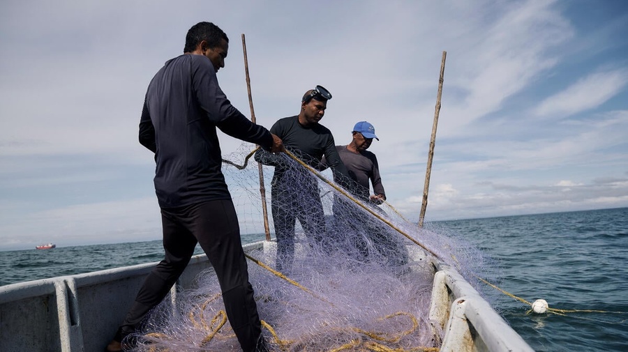 Colombia. Men fish in the Turbo Bay surrounded by mangroves