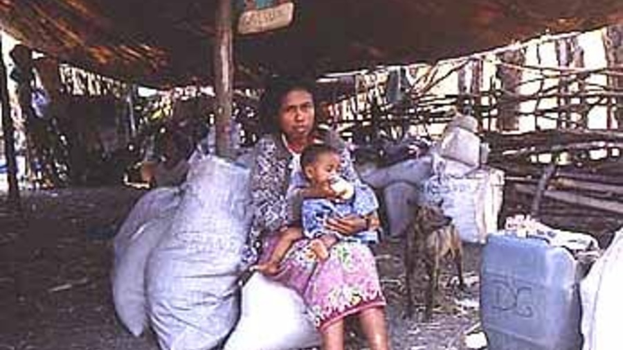 Nearly 60,000 East Timorese still remain in squalid camps across West Timor.