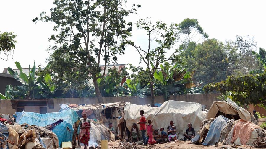 Democratic Republic of Congo. Mbuti IDPs (indigenous community)