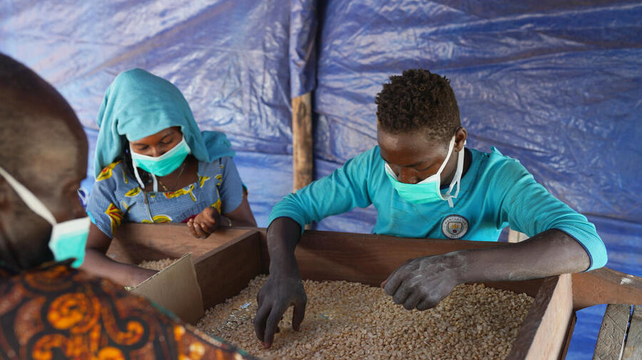 Refugee and host community farmers sort through maize at Makpandu refugee camp in South Sudan, January 2021.