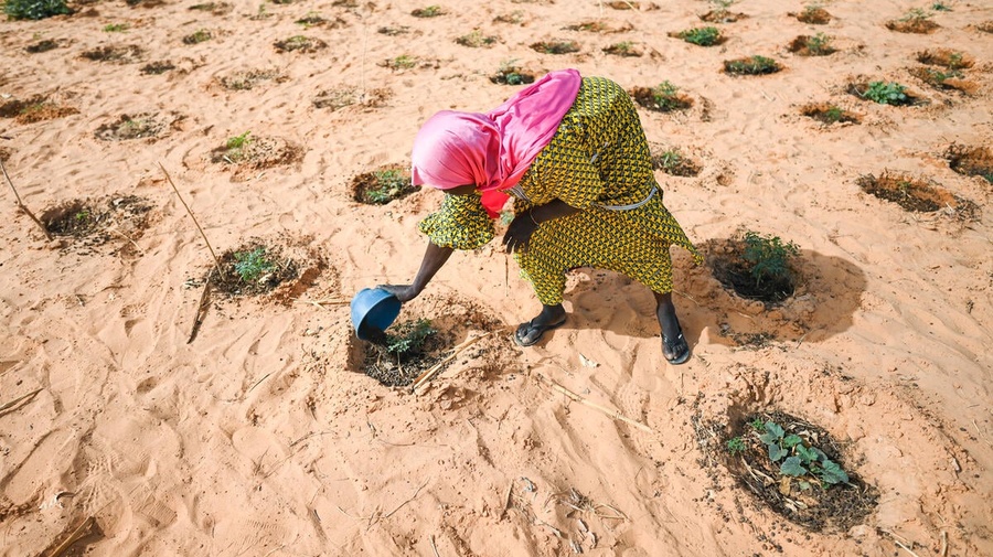Niger. Refugees fighting climage change in Ouallam