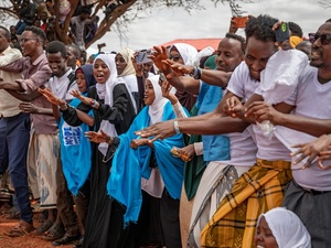 A large group of people dance outdoors while others others sit in a tree nearby