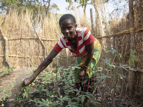 Zambia. Congolese refugees find peace among welcoming Zambians