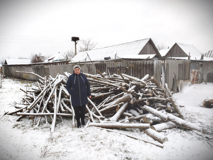 A woman in a coat and wool hat stands in front of a large pile of wood logs in a snow covered yard with a solid metal fence and the roofs of buildings behind.