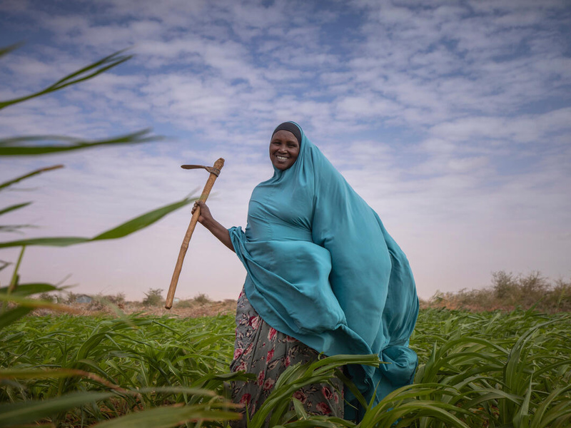 A Somalian woman stands in a field, her blue clothes billowing in the wind.