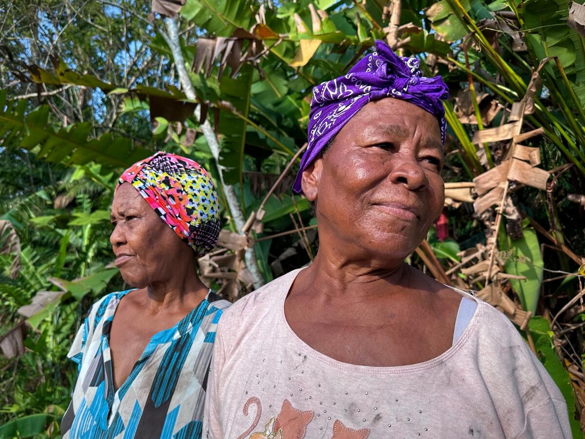 Two older women wearing head scarves stand under a banana tree.
