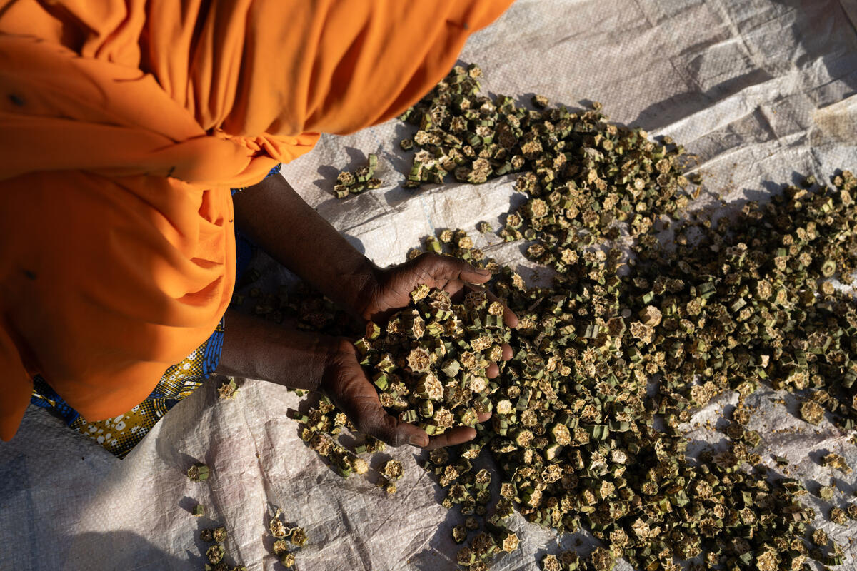 A woman cups some dried okra in her hands.