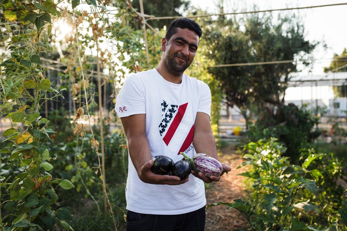 Greece. Afghan refugees 'give back' to needy Greek families