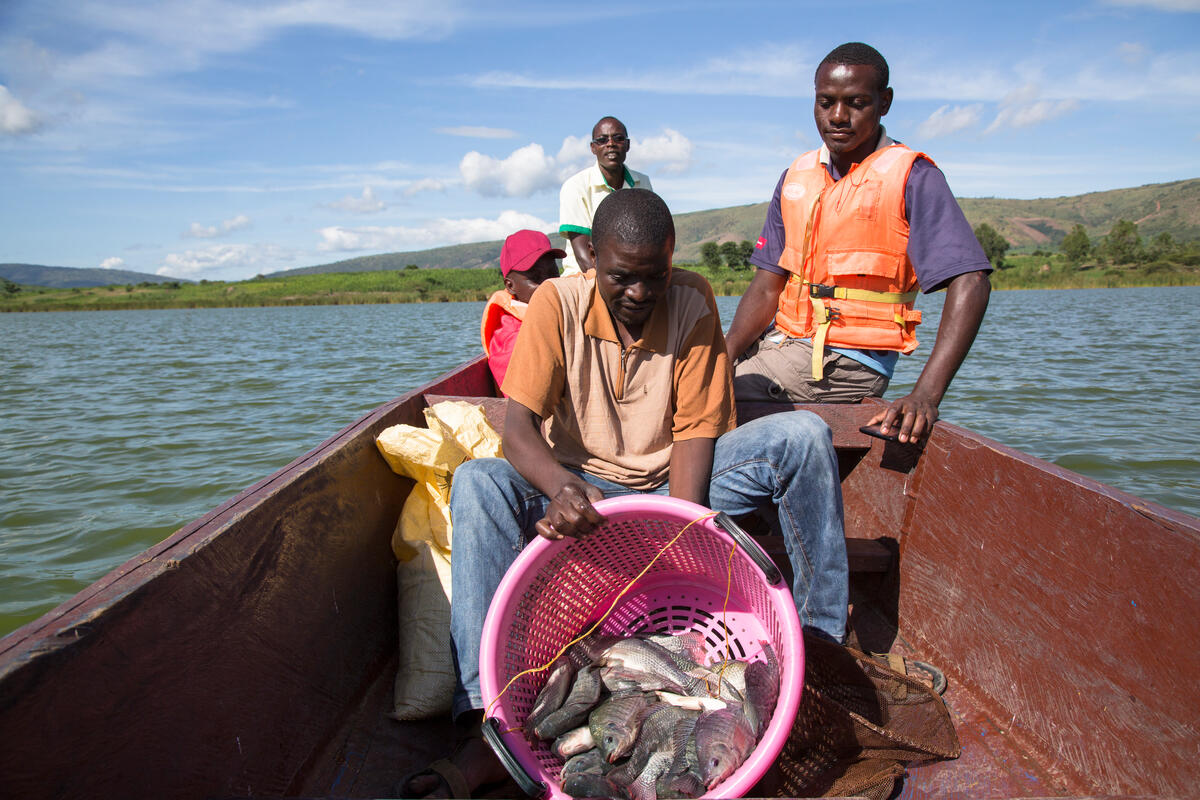 Uganda. Refugees and nationals run the first ever fish farm in Uganda