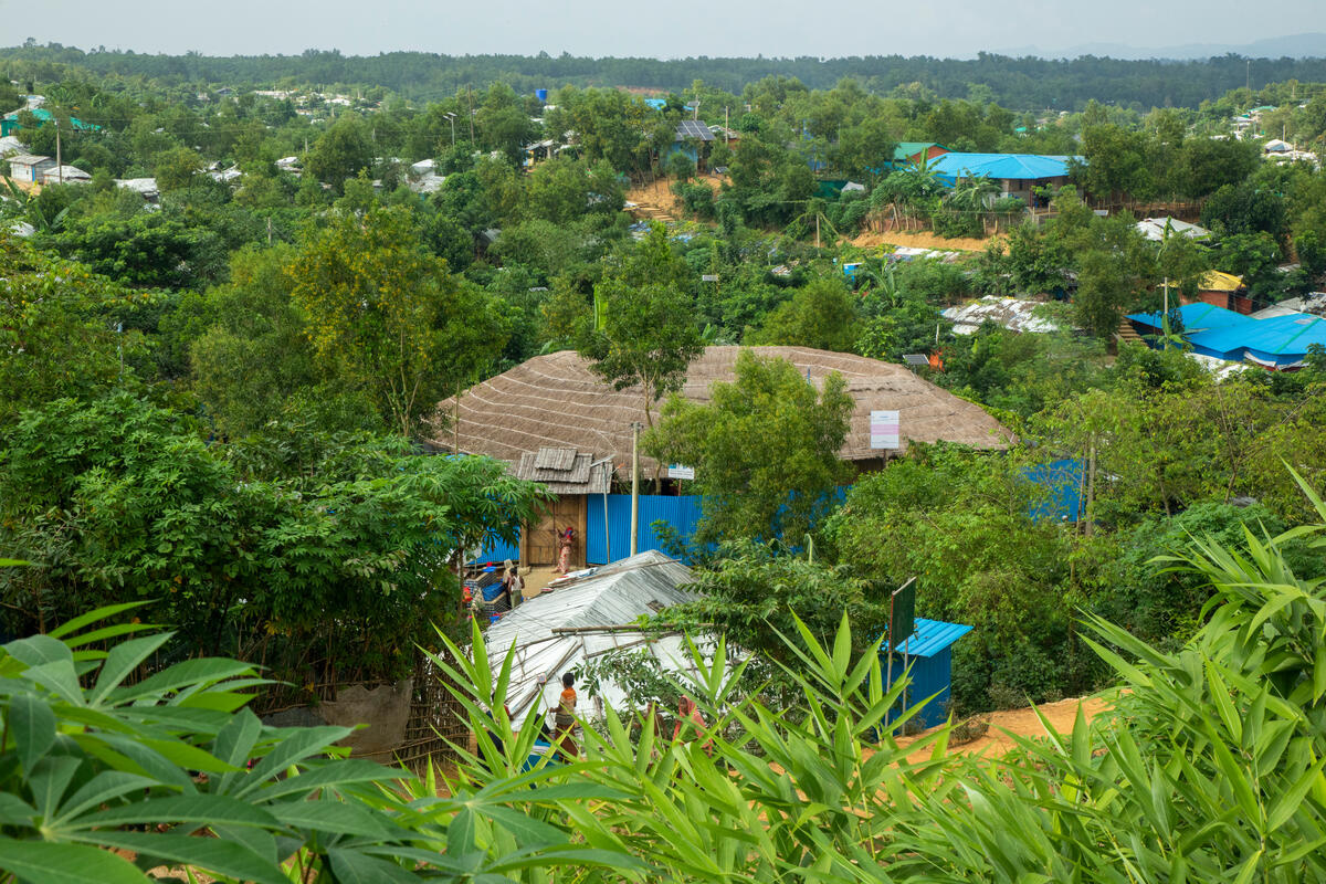 Bangladesh. Reforesting the Rohingya refugee camp