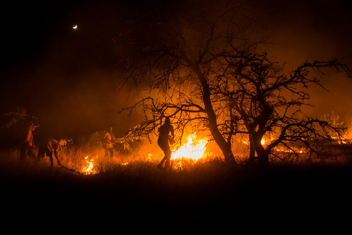 Mauritania. Refugee volunteers wage fight against bush fires near Malian camp