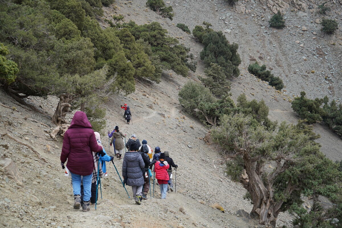 Morocco. Refugee women climbing the Toubkal.