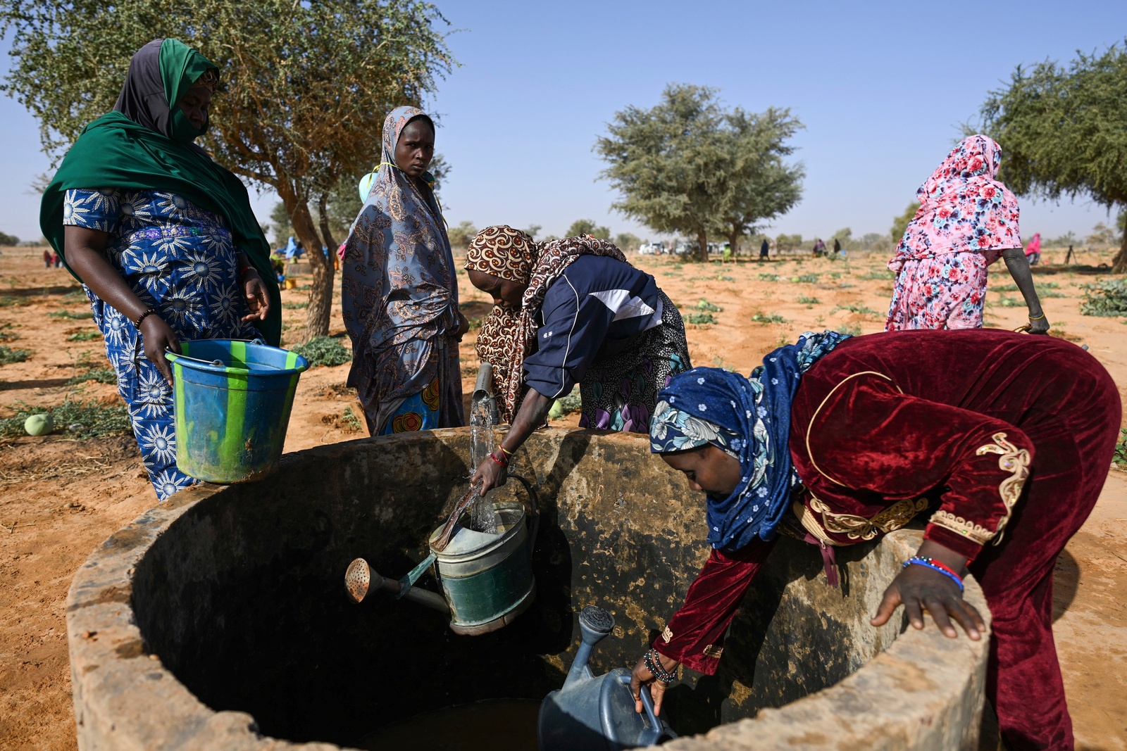 Niger. Refugees, internally displaced and host community join forces on market garden project