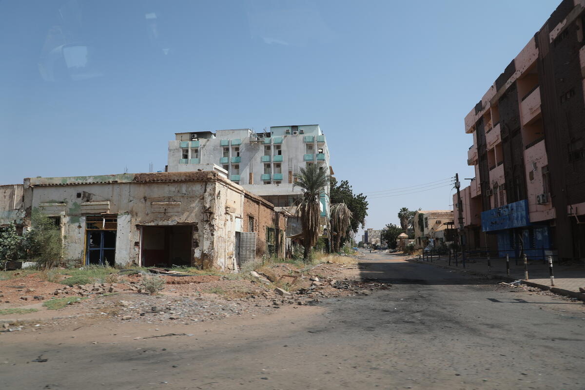 An empty street lined with palm trees, destroyed buildings and rubble.