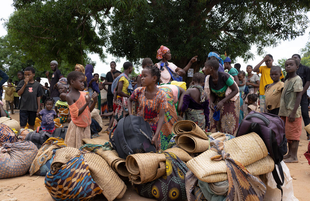 A large group of newly displaced people gather with their belongings in front of a large tree