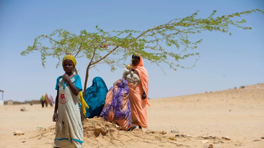 Chad. Hunger and hard choices for Sudanese refugees