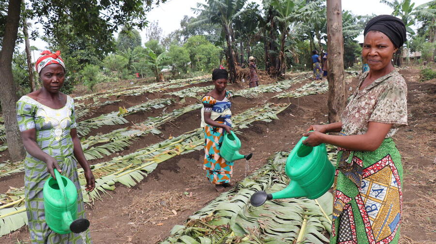 Democratic Republic of Congo. Displaced populations and host community rebuild lives through cultivating land together