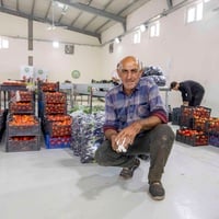 Sulayman is excited as boxes of his freshly harvested produce await sorting and packing at the Faida Aggregation Hub in Duhok, ready to make their way to local markets. © UNHCR/Rasheed Rasheed