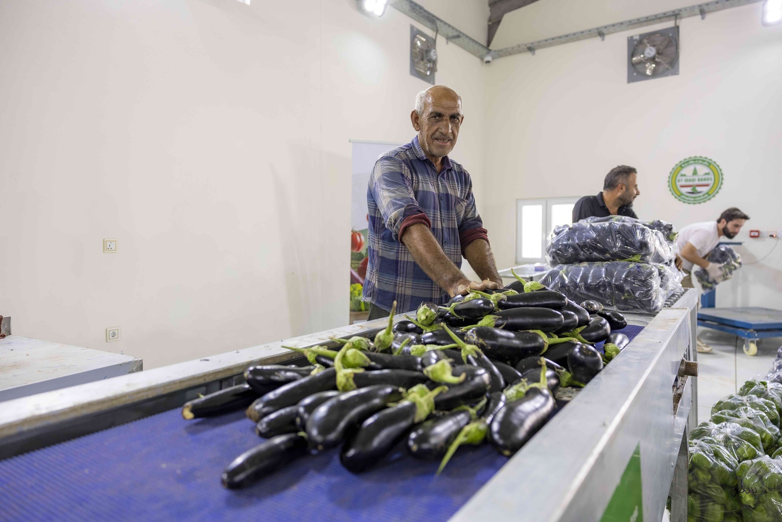 Sulayman stands proudly with his freshly harvested eggplants at the Faida Aggregation Hub, where his produce is sorted, packed and prepared for local markets. © UNHCR/Rasheed Rasheed