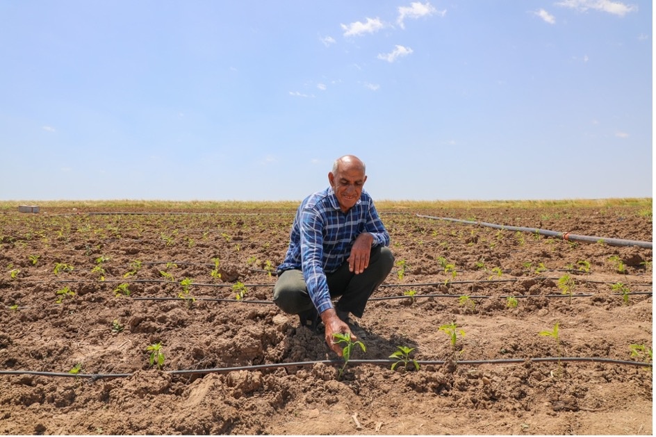 Sulayman checks on the plants growing in his family’s rented plot of land, where each harvest brings hope for a better future. © UNHCR/Viola Eleonora Bruttomesso