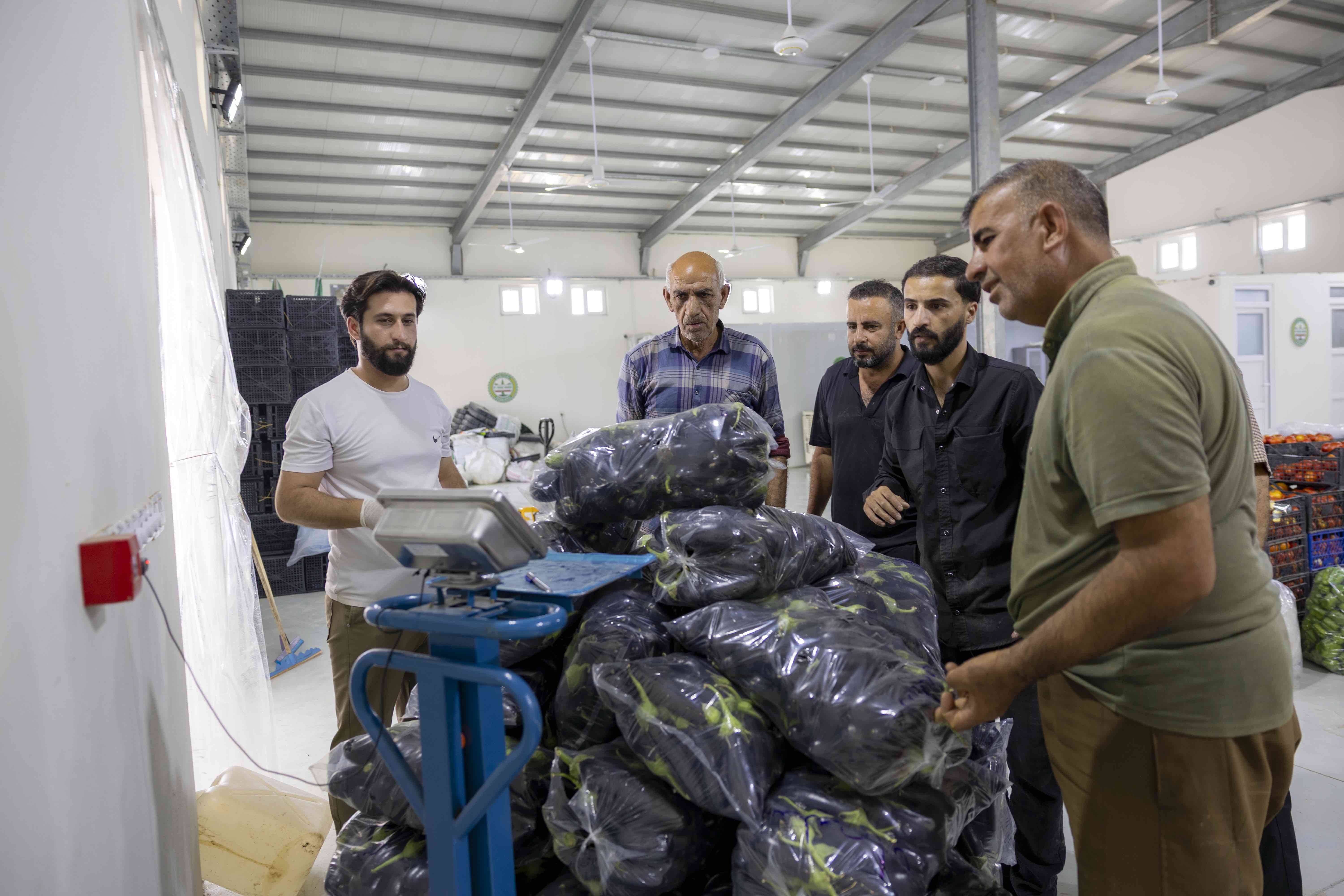Staff at the Aggregation Hub weigh Sulayman&rsquo;s freshly harvested eggplants as they are packed and prepared for delivery to local markets. &copy; UNHCR/Rasheed Rasheed