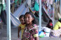 La fame e la disperazione costringono i popoli indigeni a fuggire dal Venezuela