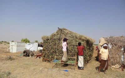 Gli "eco-rifugi" proteggono gli sfollati yemeniti dalle intemperie