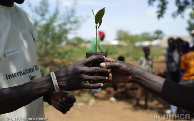 In Uganda, un rifugiato sud sudanese si prende cura della terra che lo ha accolto