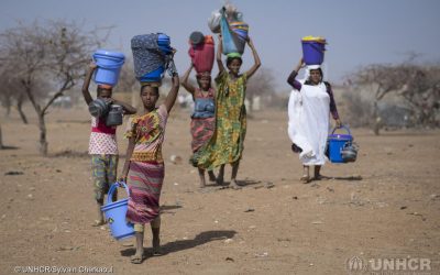 Mine e ordigni esplosivi improvvisati espongono a rischi mortali gli sfollati nelle regioni del Sahel e del Lago Ciad