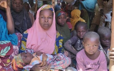 In fuga dagli attacchi, gli abitanti dei villaggi nigeriani cercano sicurezza in Niger