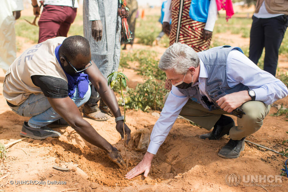 Niger. Rifugiati, sfollati interni e comunità ospitante uniscono le forze per un progetto di orti