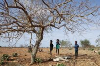 Corno d’Africa: UNHCR lancia appello per aiuti salvavita per milioni di persone colpite dalla siccità catastrofica
