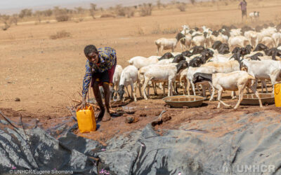 Le famiglie etiopi lottano per sopravvivere durante la peggiore siccità degli ultimi 40 anni