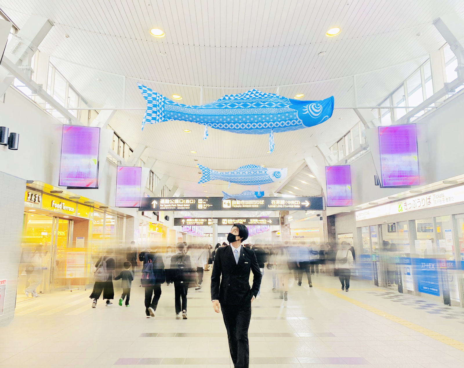 世界難民の日こいのぼり