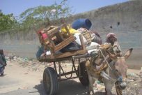 ソマリア難民の強制送還に対し、UNHCRが警告