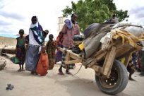 UNHCR、ソマリア国内への救援物資増加させる