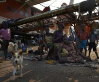 南スーダンと中央アフリカ共和国の危機：9900万米ドルの支援要請