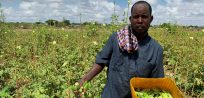 Agricultural farming, a reliable source of livelihood for both refugees and host community in Dadaab   