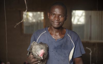 Burundi refugee in Kakuma makes a fortune from Chicken Farming