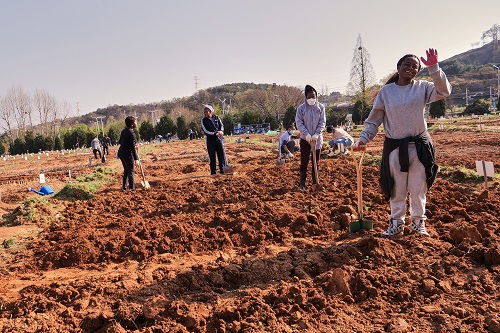 Webstory photo 1.jpg