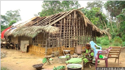 100119_JKL_Congolese.jpg 100119_JKL_Congolese.jpg