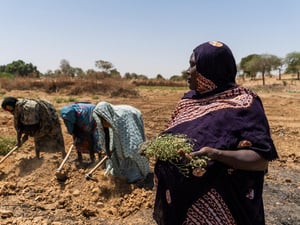 Chad. Thousands of Sudanese refugees continue to flee across border
