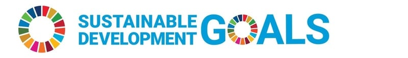 SDG Logo