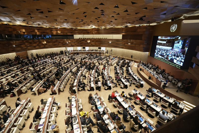 대한민국, 유엔난민기구(UNHCR) 집행이사회 의장국 수임(2014)