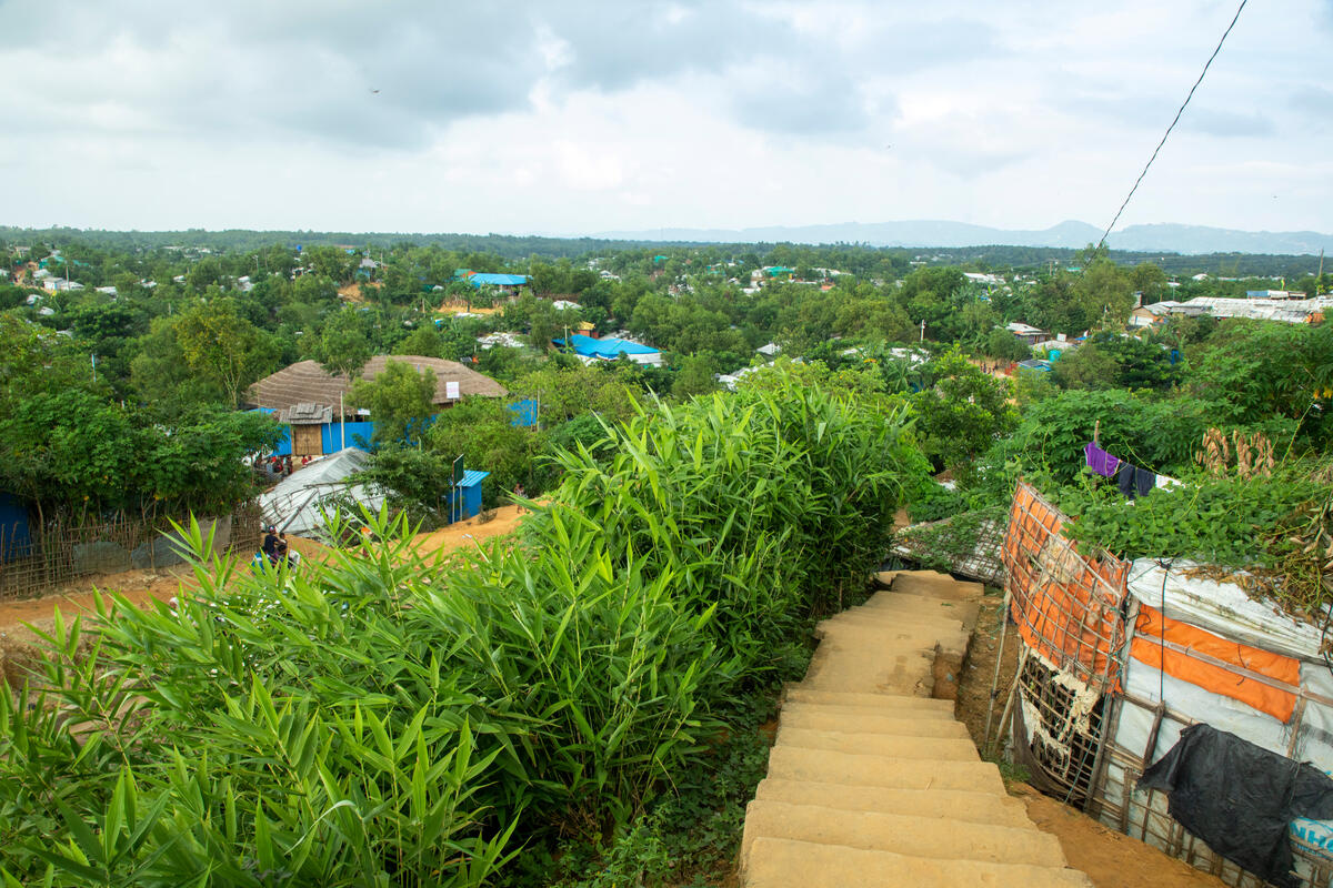 Bangladesh. Rohingya refugees join efforts to re-green camp forests