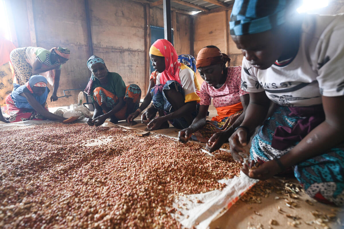 Niger. Nigerian refugees and locals work together in ‘opportunity village’