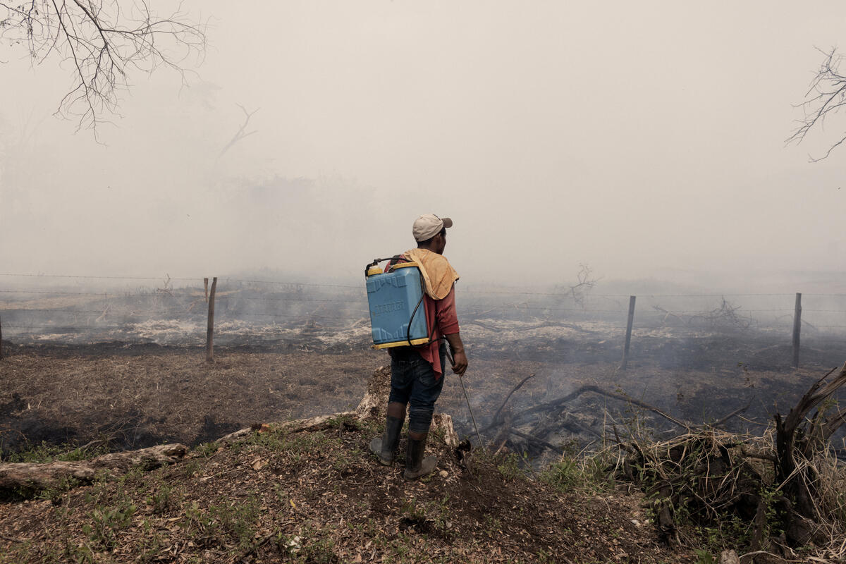 Guatemala. Asylum seekers cross Central America on their way to Mexico, the United States, and Canada